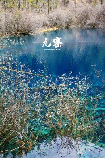 尽享请问这款 耐克~曼巴 篮球鞋什么型号名字知识星球,开启你的学习之旅!
